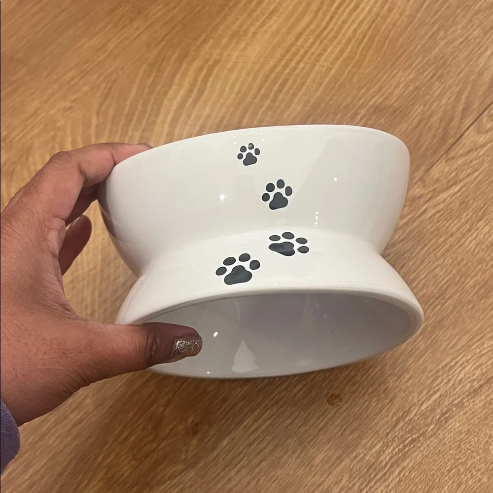 Elevated Cat Bowl with Cute Paw Design